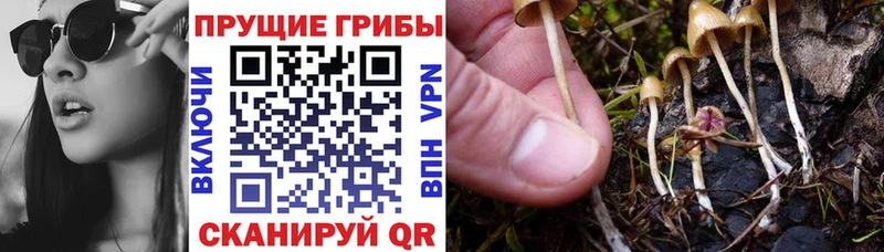 Галлюциногенные грибы ЛСД  Иркутск 